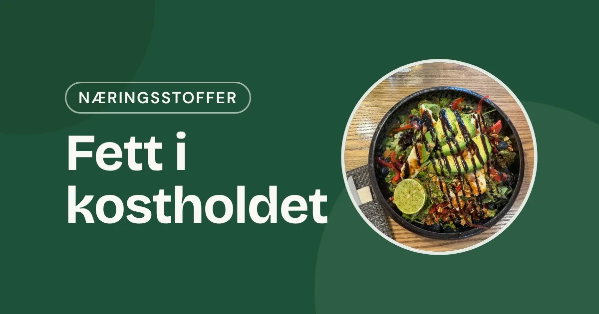 Omslag med teksten «Fett i kostholdet» og et foto av en salat med avokado, lime og mørk dressing i en svart skål