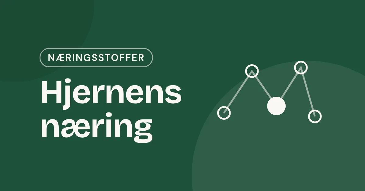 Omslag med teksten «Hjernens næring» og fem sammenkoblede prikker