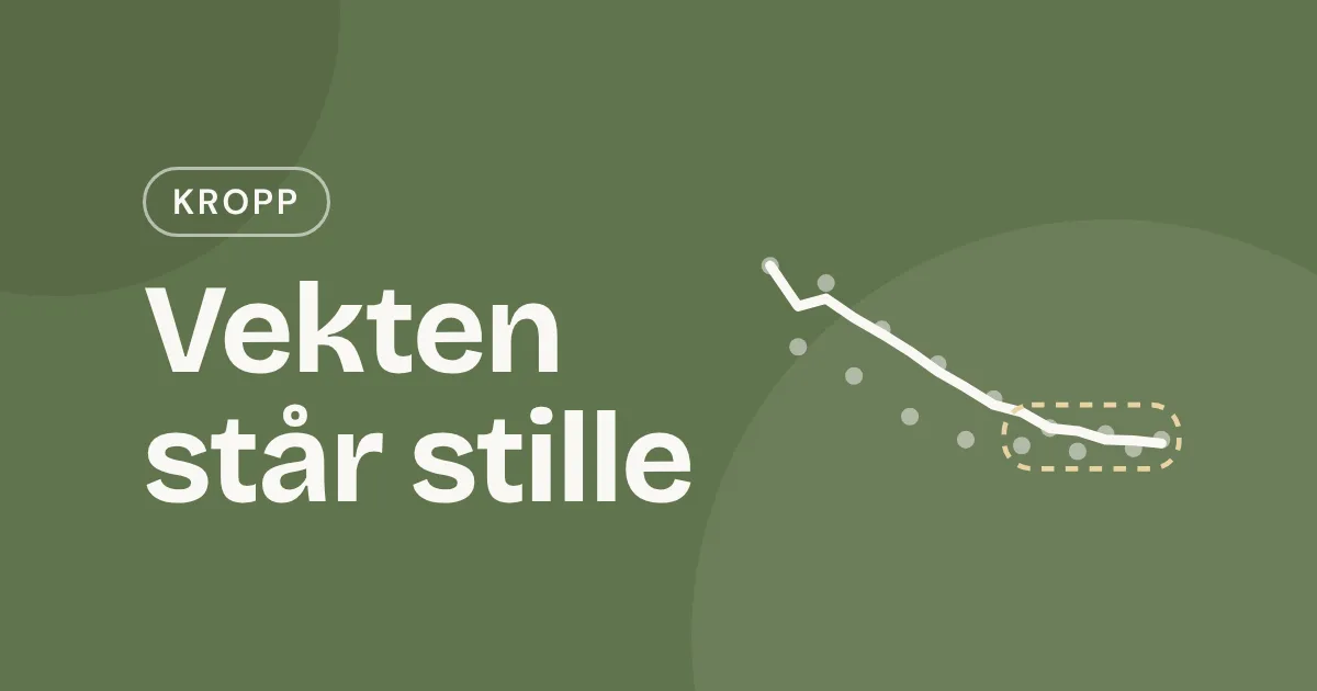 Omslag med teksten «Vekten står stille» og en vektkurve som synker og flater ut