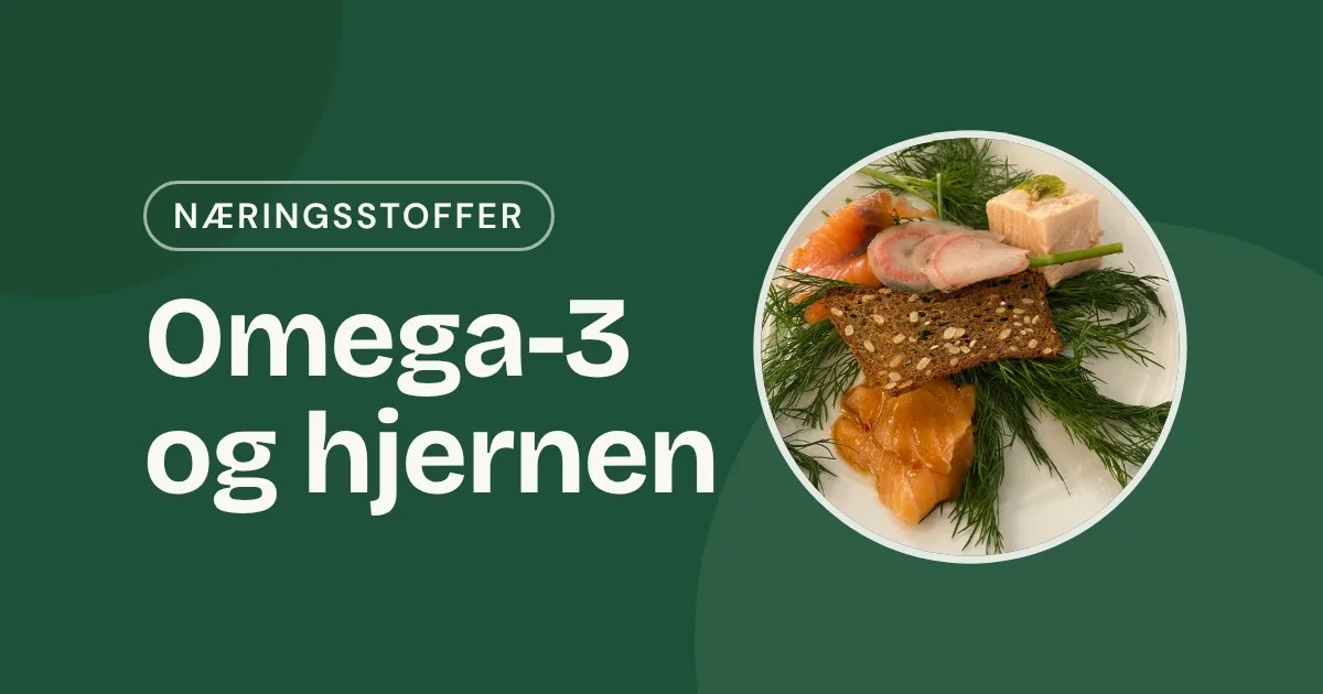 Omslag med teksten «Omega-3 og hjernen» og et foto av røkt laks med dill og knekkebrød