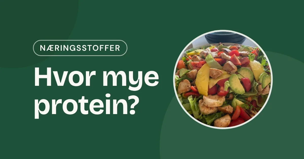 Omslag med teksten «Hvor mye protein?» og et foto av en stor salat med kylling, avokado og tomat