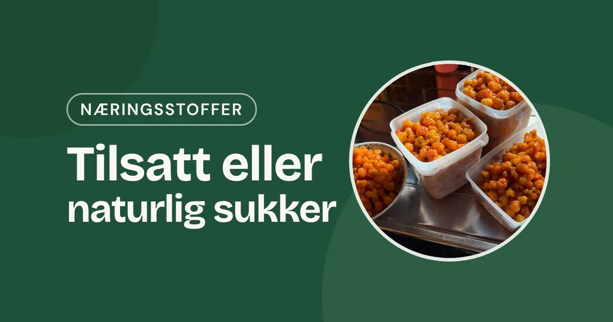 Omslag med teksten «Tilsatt eller naturlig sukker» og et foto av multebær i tre bokser og en skål